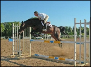Cours de saut d obstacle.JPG